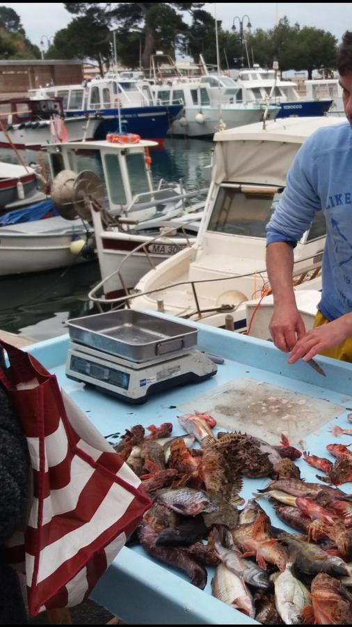 Appartamento Coste Location Cassis