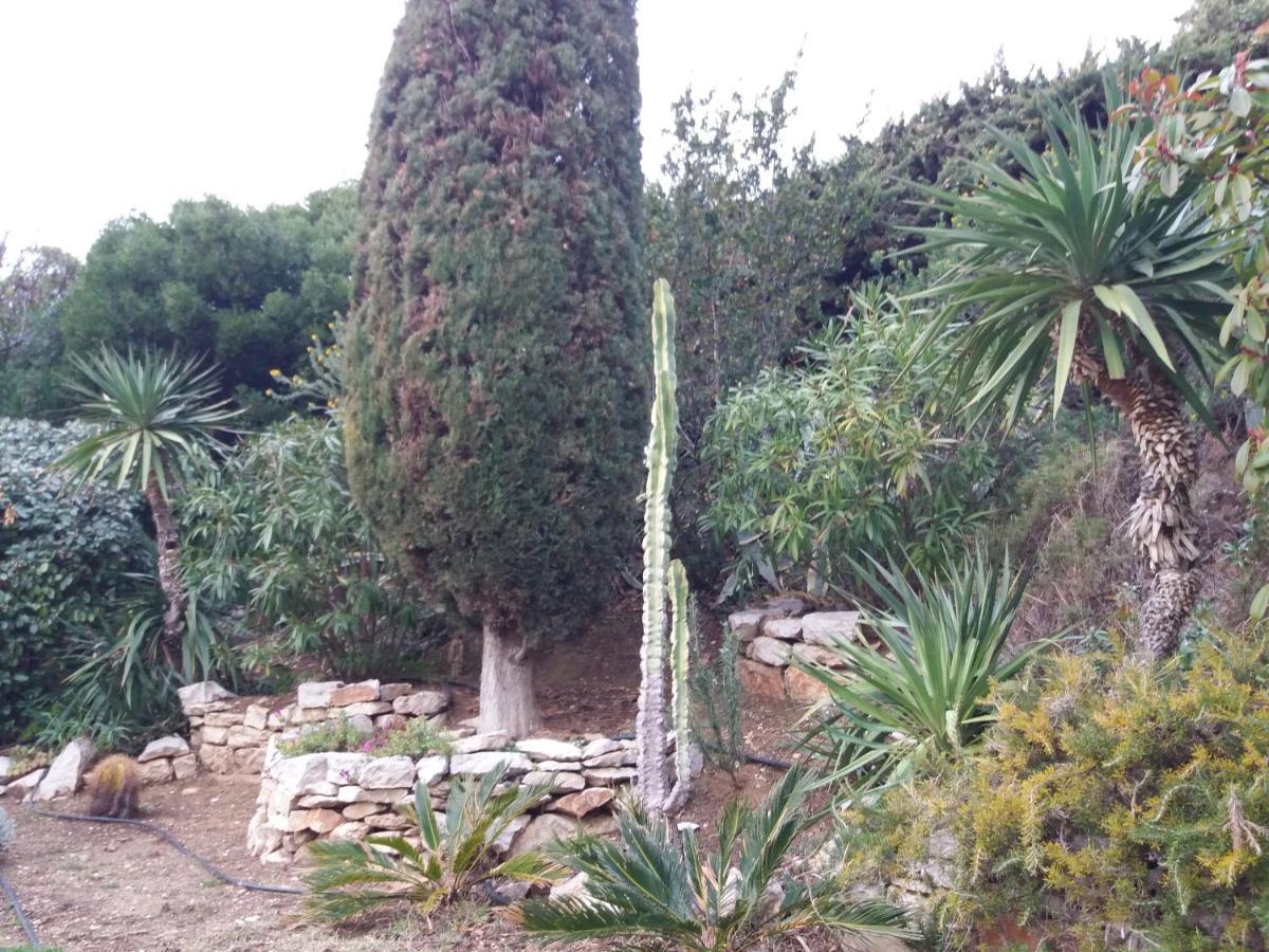 Appartamento Coste Location Cassis